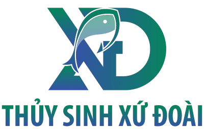 THỦY SINH XỨ ĐOÀI