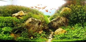 Nature-aquarium-aquascaping-8-1024x506